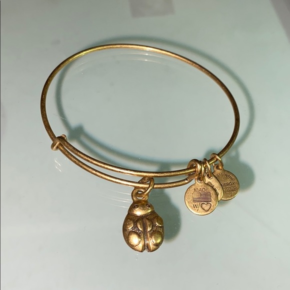 Alex and Ani Jewelry - Alex and Ani (authentic)